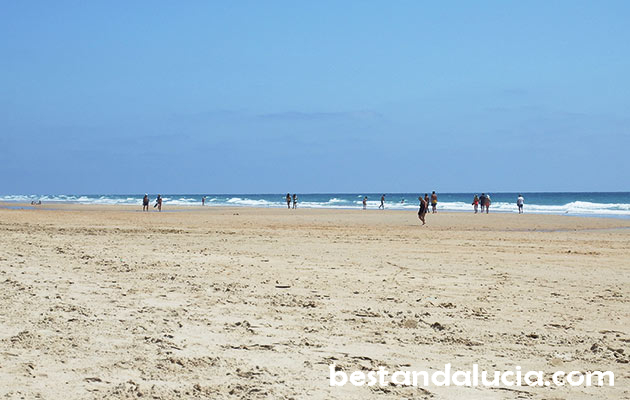 Conil de la Frontera - bestandalucia